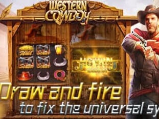 Western Cowboy icon
